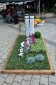 Tag des Friedhofs    047